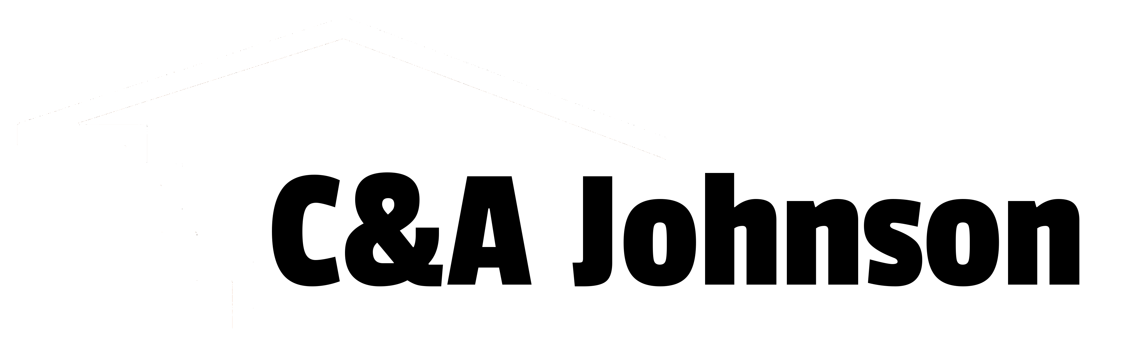 specilaists in loft extensions and building extensions